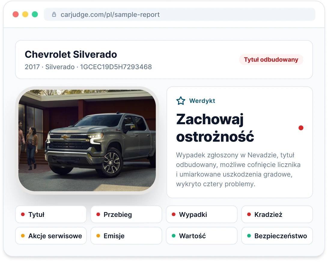 Podgląd przykładowego Vehicle Report