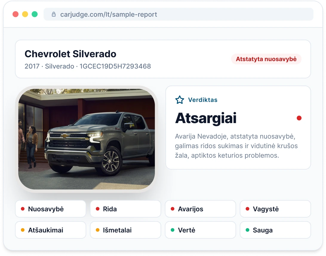 Vehicle Report pavyzdžio peržiūra