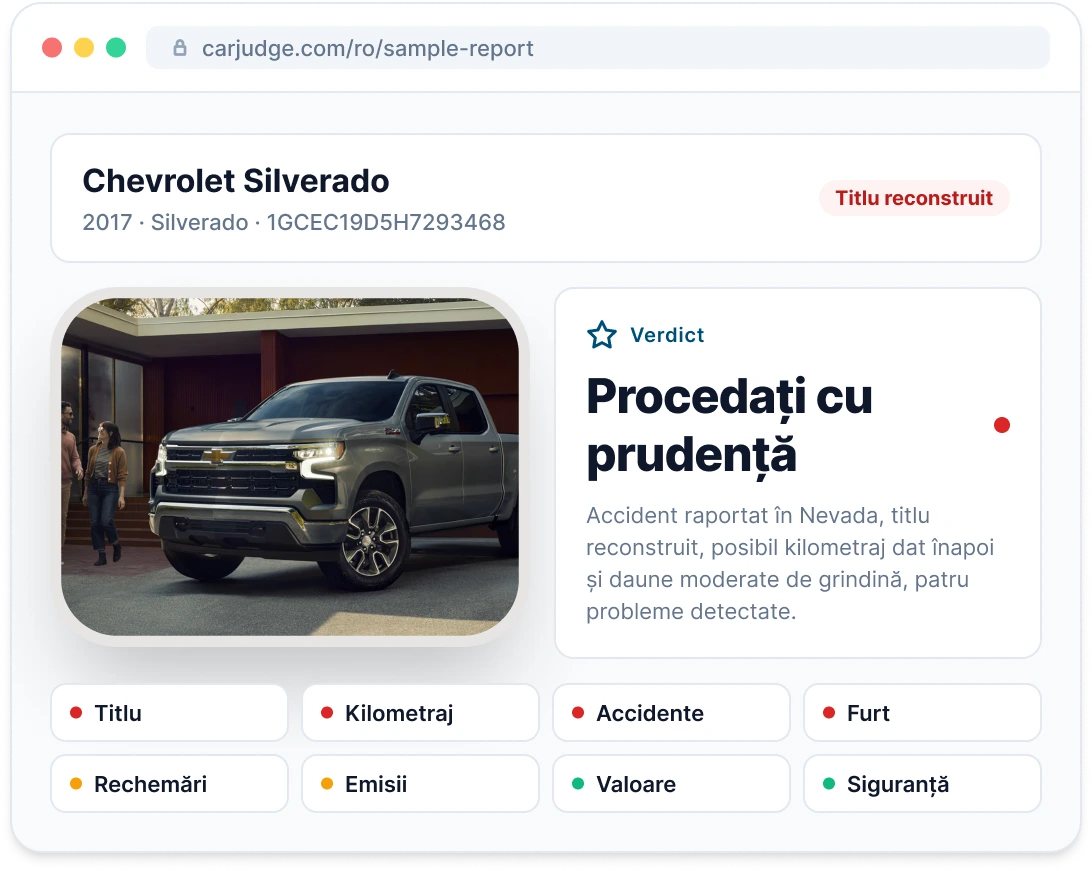Previzualizare a unui exemplu de Vehicle Report