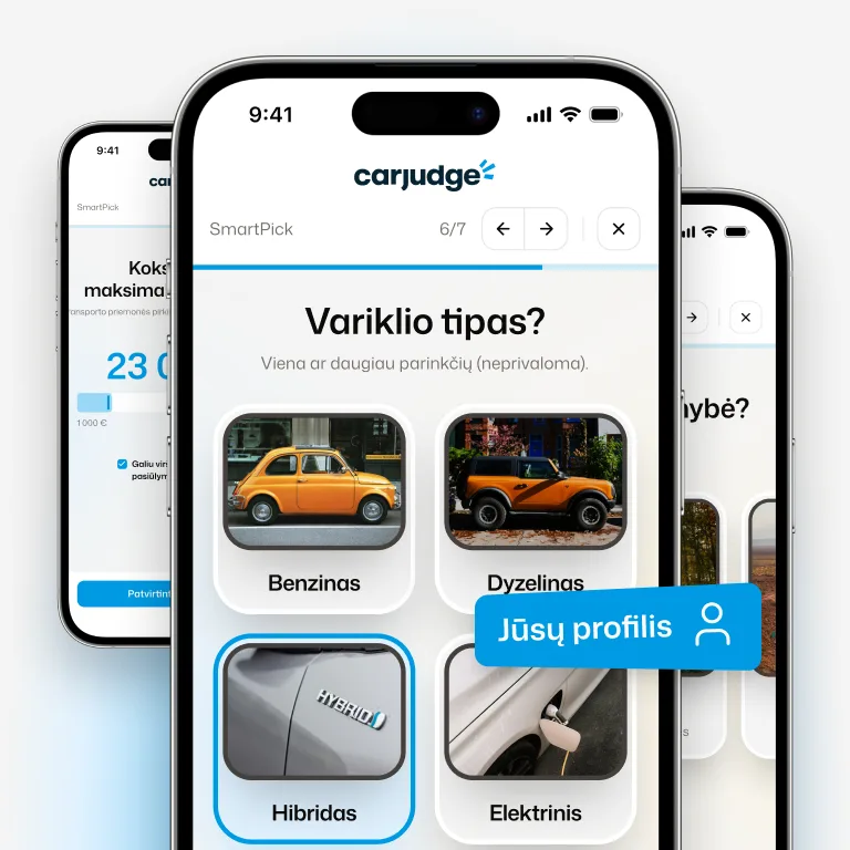 Apibūdinkite savo poreikius