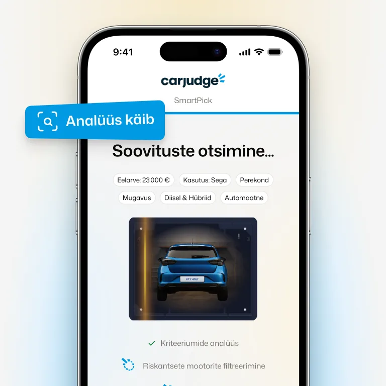 Analüüsime sinu profiili
