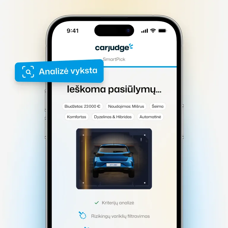 Analizuojame jūsų profilį
