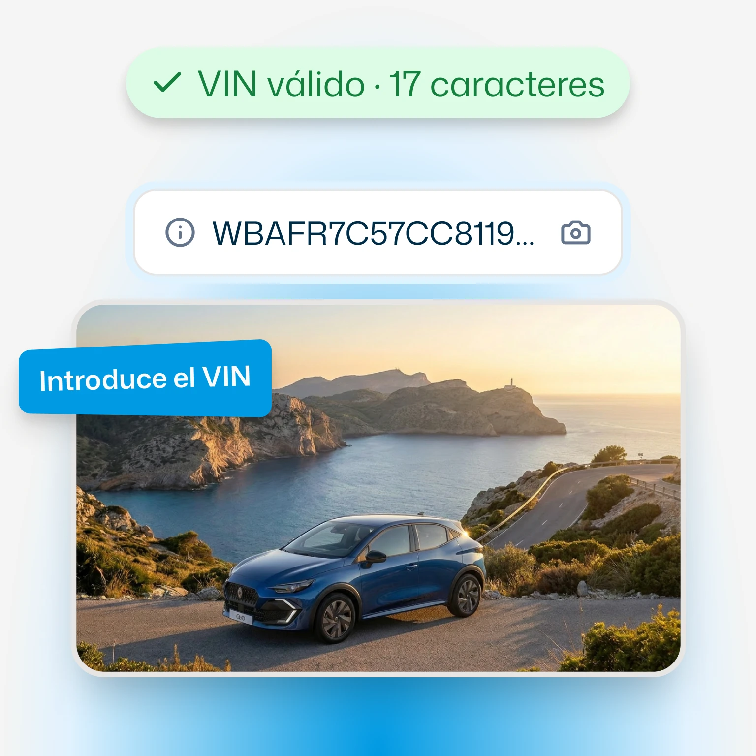 Introduzca el VIN o su matrícula