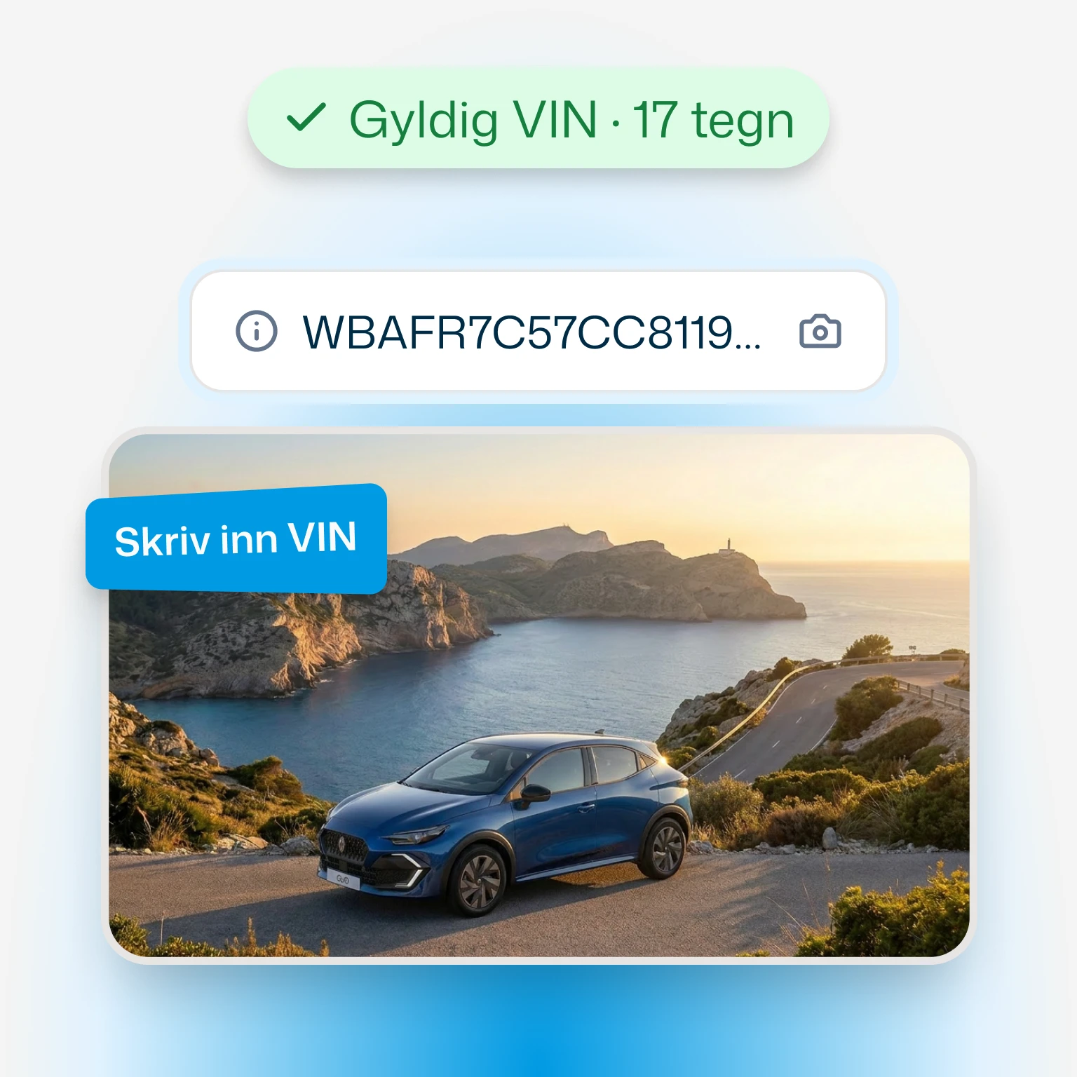 Skriv inn VIN eller registreringsnummeret
