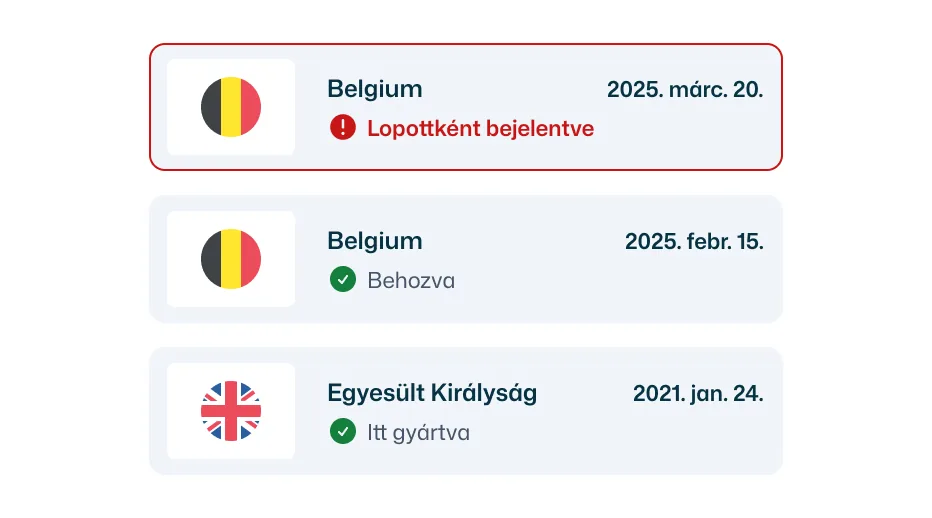 Lopott jármű ellenőrzése